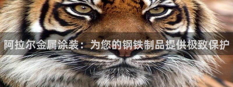 美高梅游戏官网app可以玩吗