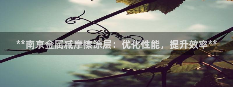 美高梅空气炸锅怎么样好用吗
