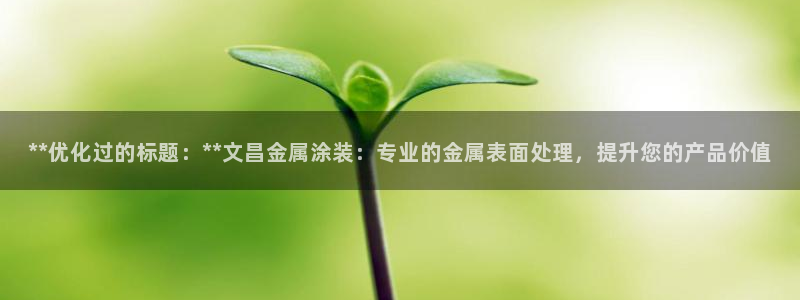 美高梅软件开发创始人