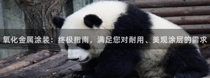 美高梅洗护用品