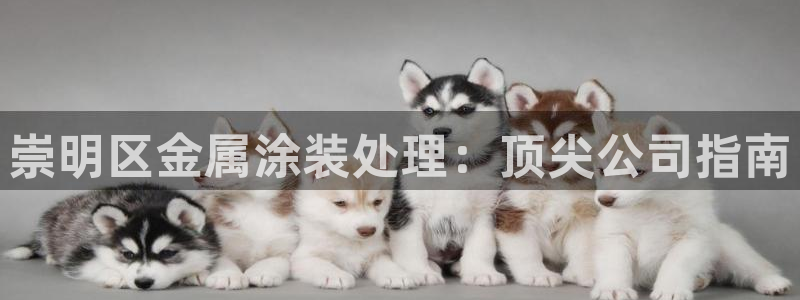 美高梅股票代码02282最近行情怎么样