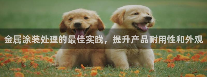 美高梅旗下酒店