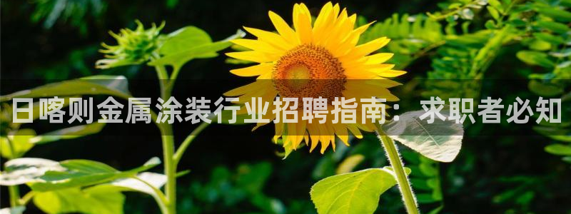 美高梅儿童玩具城