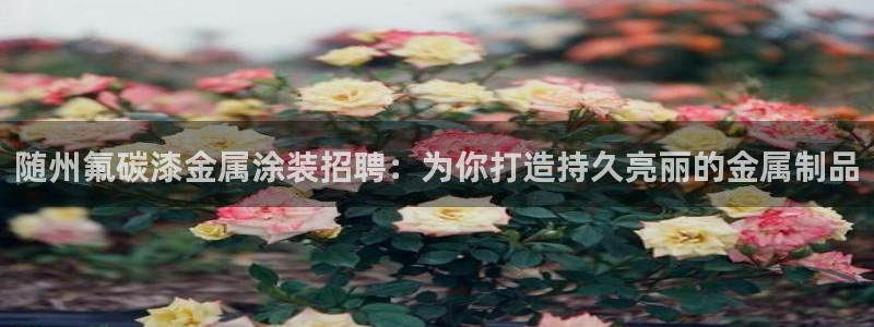 美高梅冯小峰简介