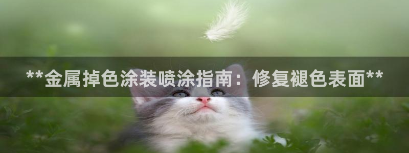 美狮美高梅酒店面对面
