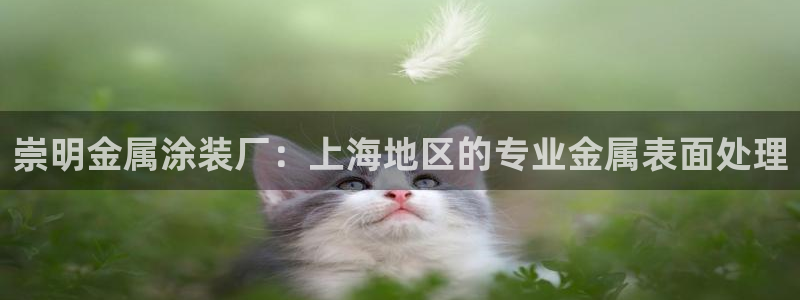 美狮美高梅酒店离哪个口岸近