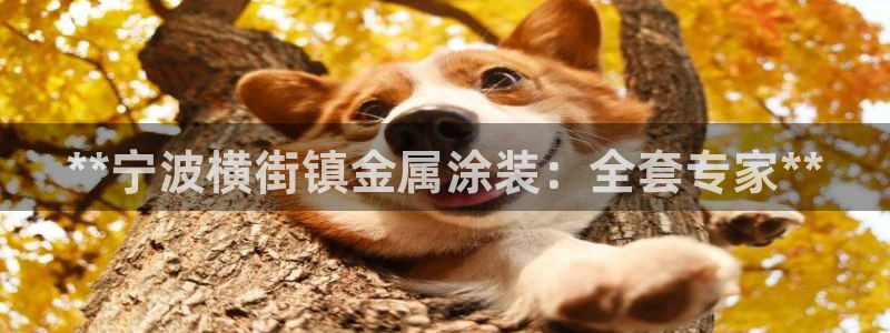 美狮美高梅酒店附近医院