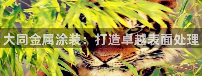 美高梅酒店的包可以拿走吗