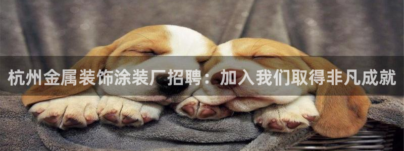 美狮美高梅酒店相邻酒店