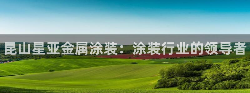 三亚美高梅酒店老板是谁