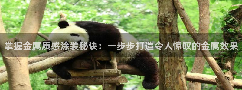 美狮美高梅酒店武汉有吗