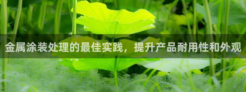 美高梅官网版是正品吗