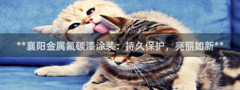 美高梅门口的狮子介绍