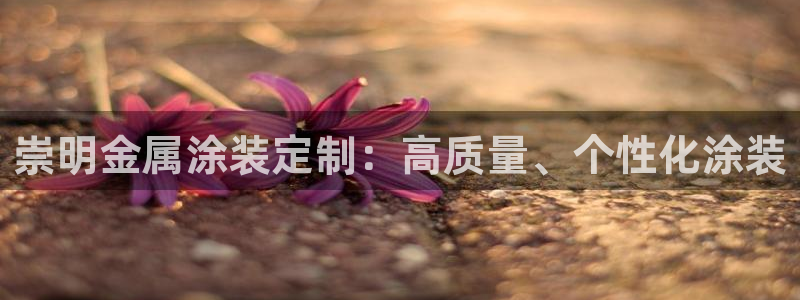 美高梅在澳门有几家