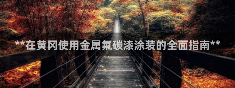美高梅软件开发创始人