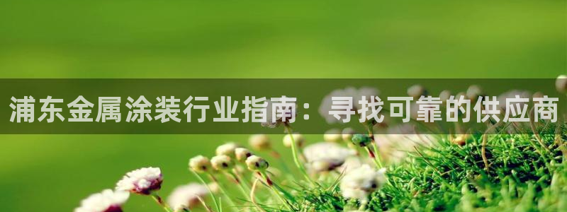 鲁能 钓鱼台 美高梅