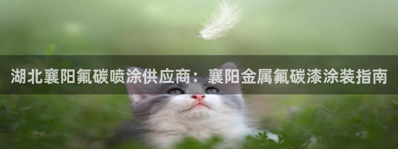 美狮美高梅酒店高度