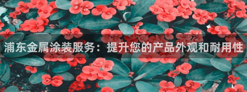 美高梅会员匹配凯悦