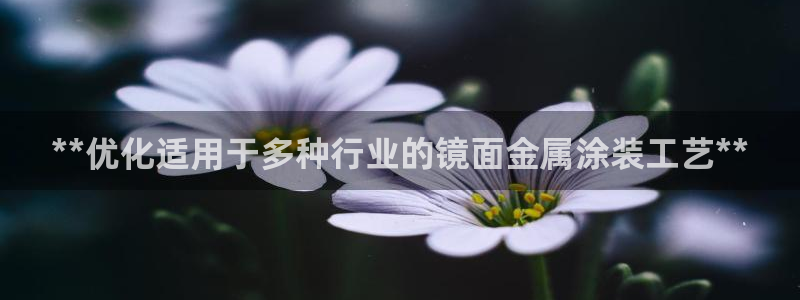 美高梅酒店澳门老板