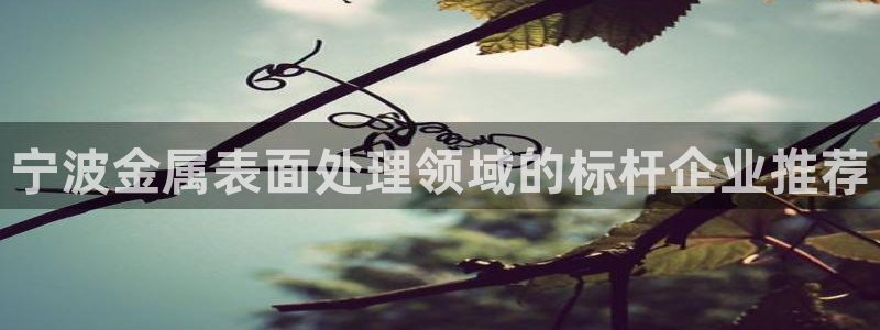 美高梅狮子logo