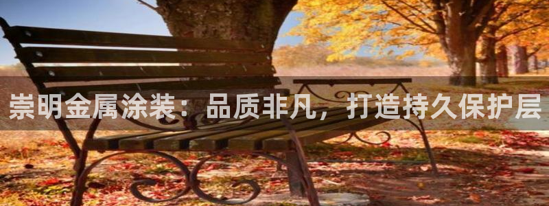 美狮美高梅商场