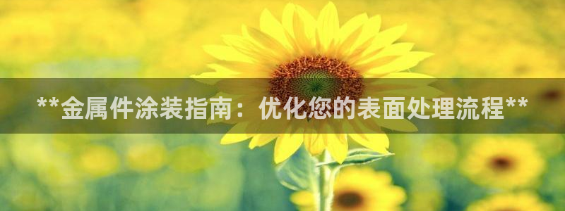 美高梅酒店集团是哪个国家的