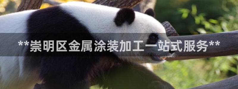 美高梅大酒店创始人