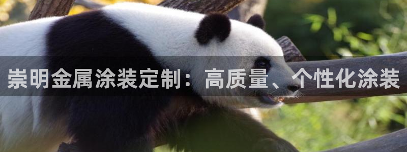 美高梅大酒店自助年卡