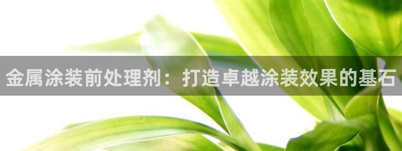 美高梅官网版是正品吗