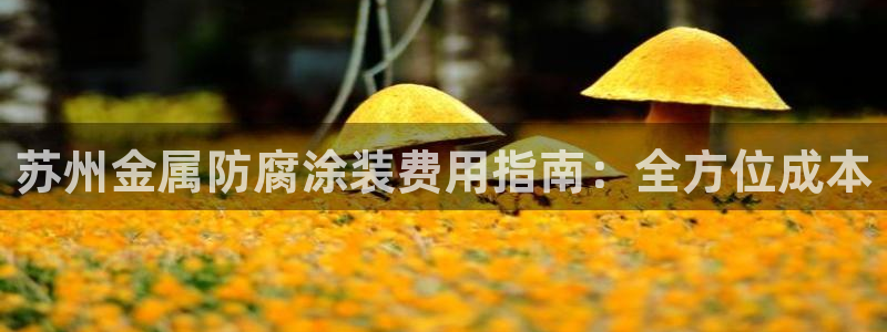 美狮美高梅酒店二楼水疗