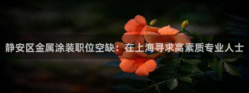 美高梅天幕广场