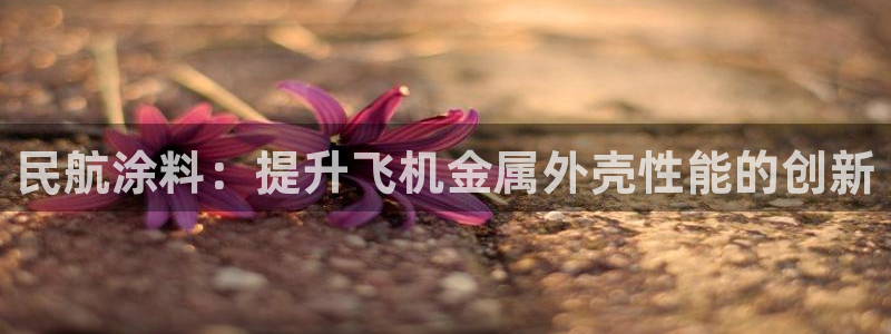 美狮美高梅酒店位置