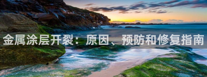 美高梅会员卡用途