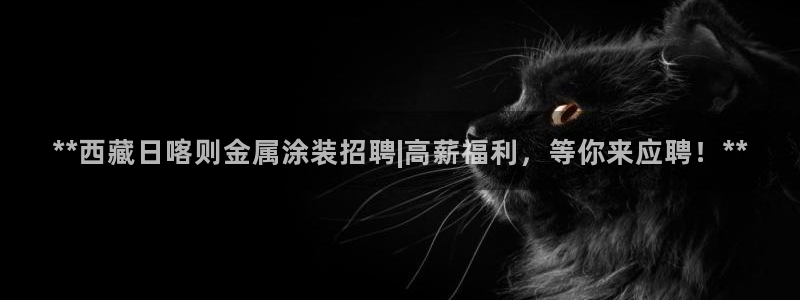 美高梅中国股票
