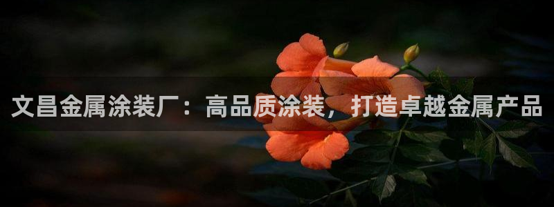 美高梅酒店股东