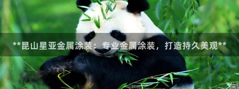 美高梅酒店年卡多少钱
