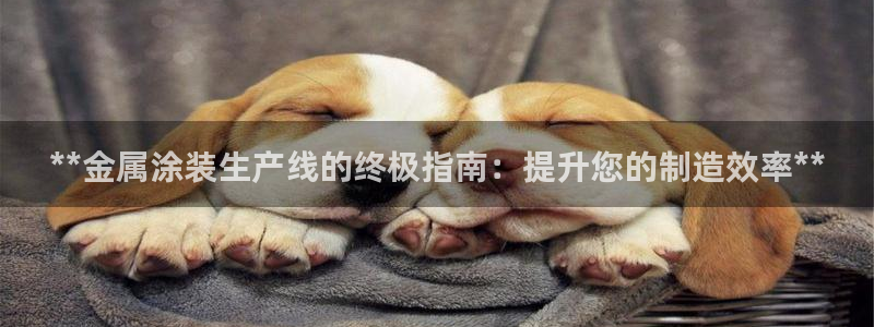 美高梅是做什么的