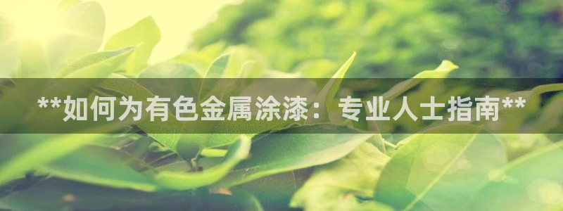 美高梅国际酒店集团