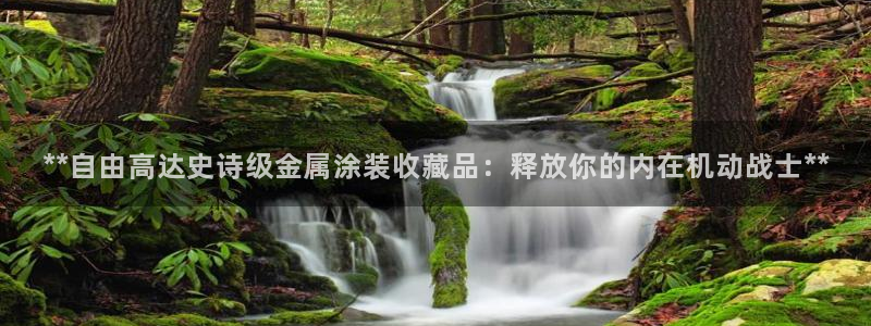 美高梅会员卡等级