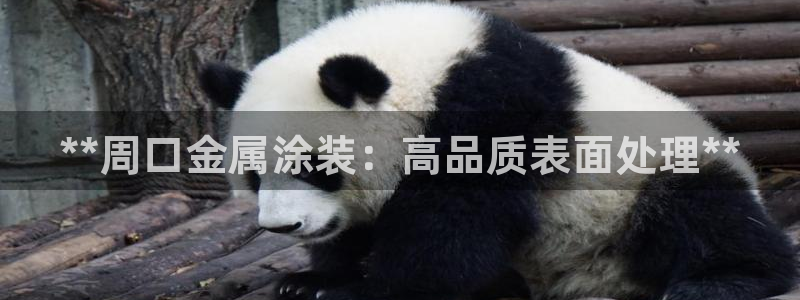 美高梅酒店品牌故事