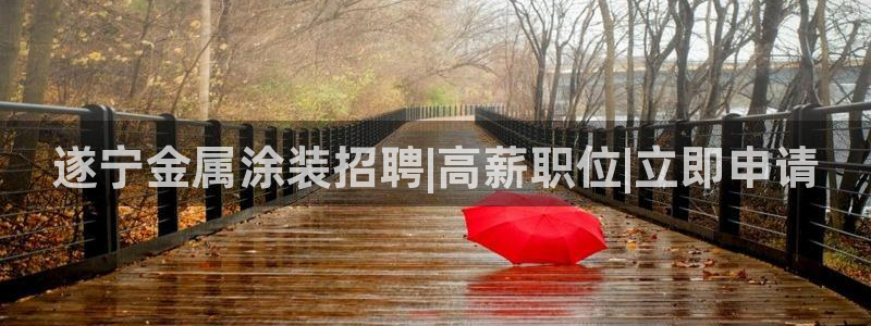 美高梅最大筹码