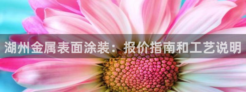 美高梅国际酒店集团