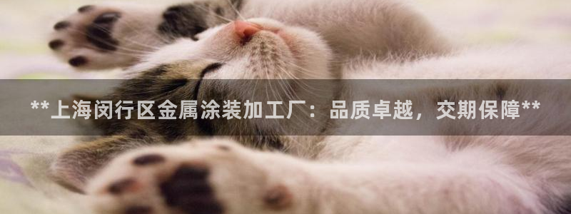 美高梅官方安卓版中文版