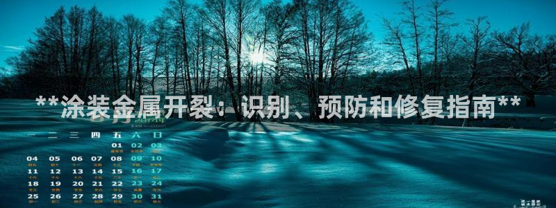 美高梅空气炸锅怎么样