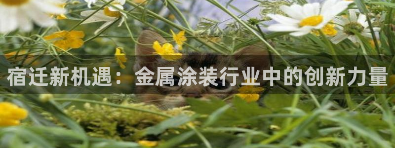美高梅酒店拖鞋