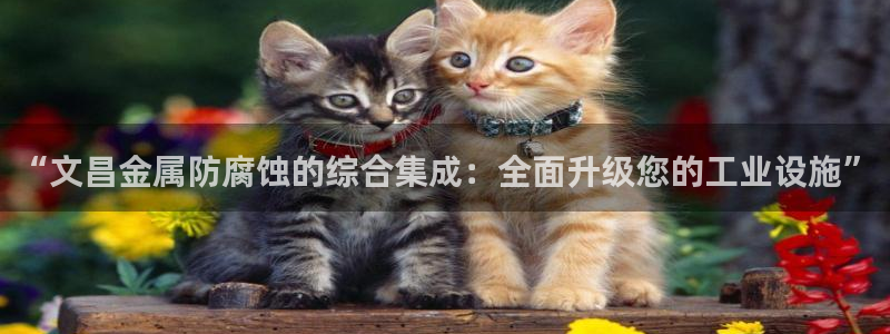 美高梅酒店案件