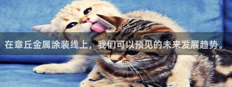 美高梅和永利是一家吗