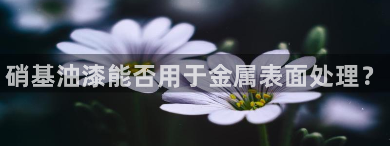美高梅酒店出名吗知乎