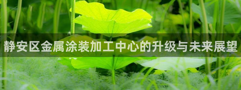 美高梅mgm集团4688打不开