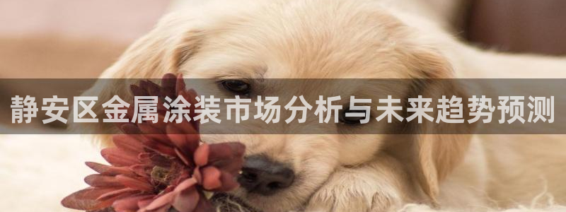 鲁能钓鱼台美高梅楼盘详情